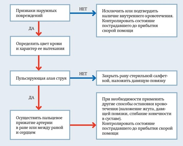
			Первая помощь при острой кровопотере и травматическом шоке		