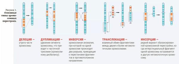 Опыт РНПЦ ДОГИ: цитогенетические исследования в современной онкогематологии                      
        Опыт РНПЦ ДОГИ: цитогенетические исследования в современной онкогематологии